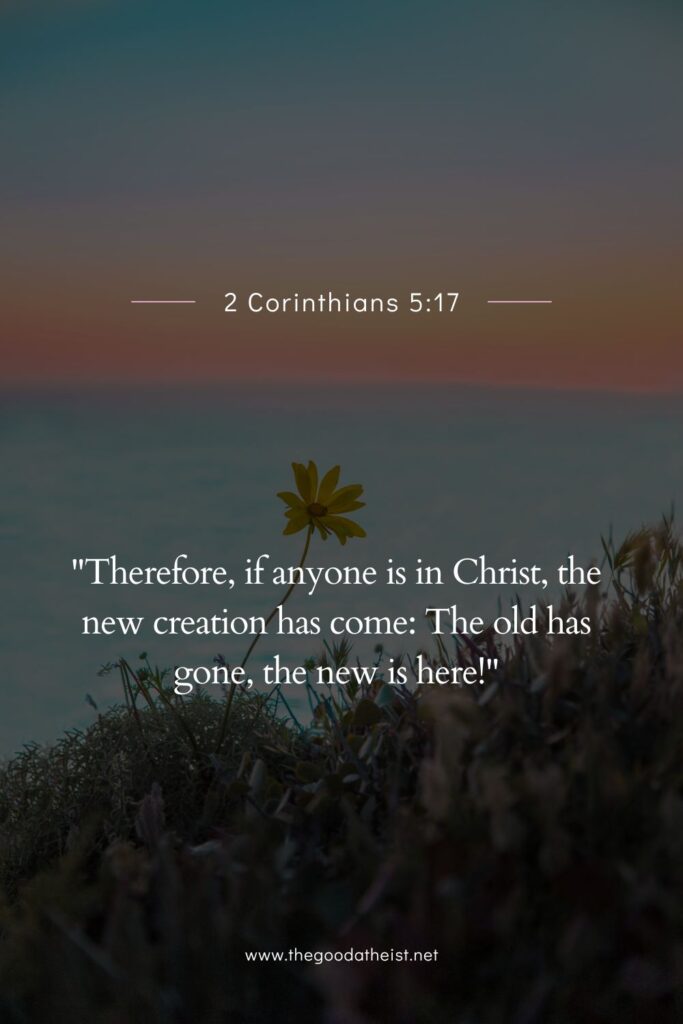 Bible Verses About New Beginnings