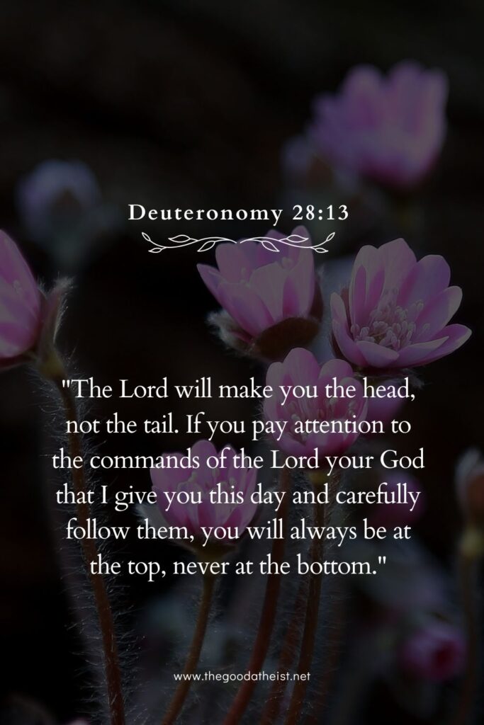 Bible Verse for Guidance