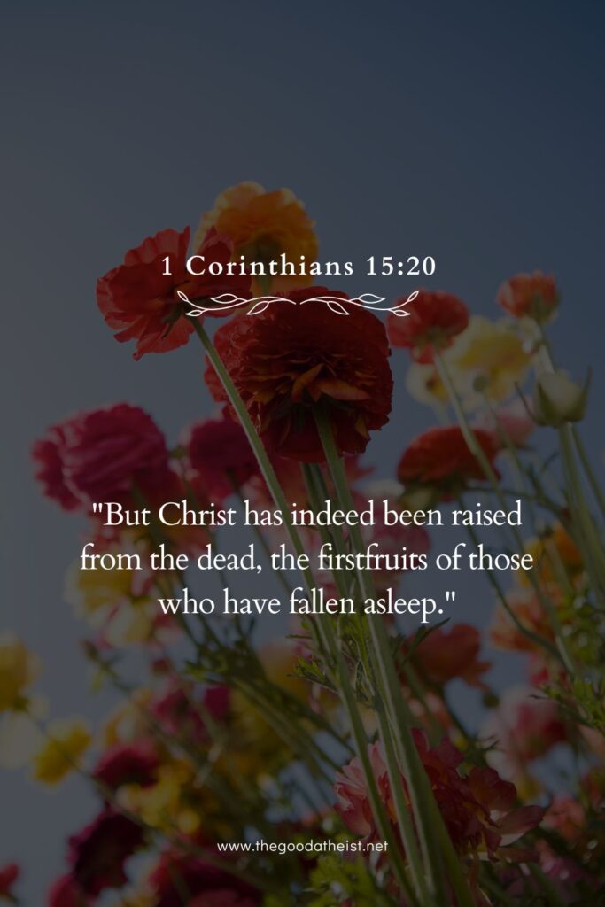 Bible Verse for Spring