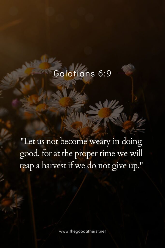 Bible Verses About Achievement