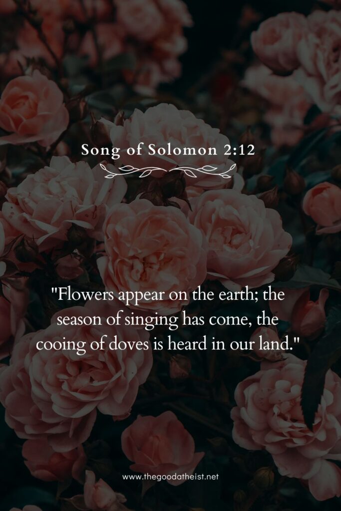 Bible Verses About Flowers