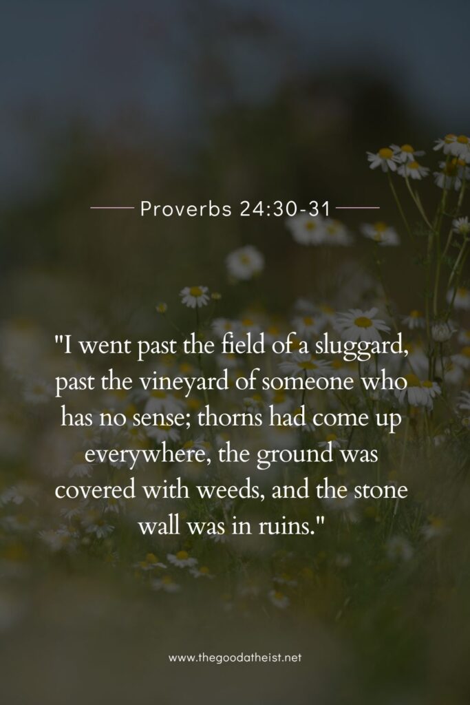 Bible Verses About Flowers