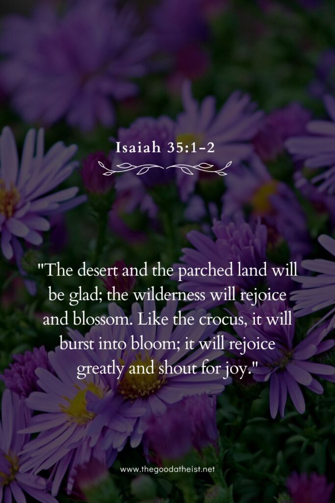 Bible Verses About Flowers