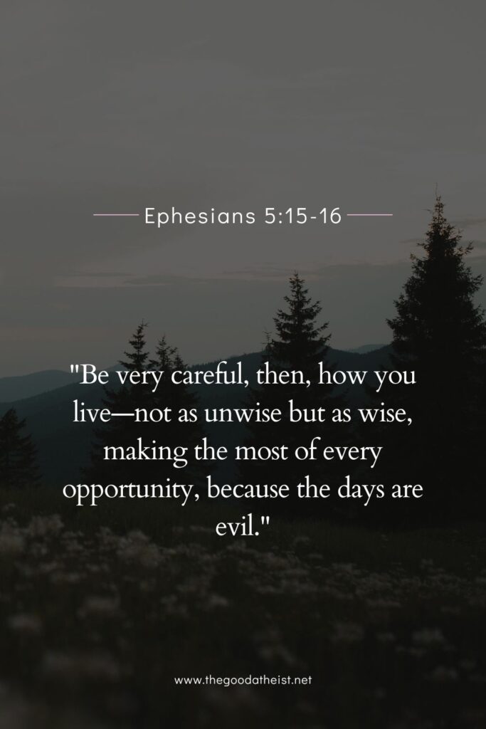 bible verses about a new day