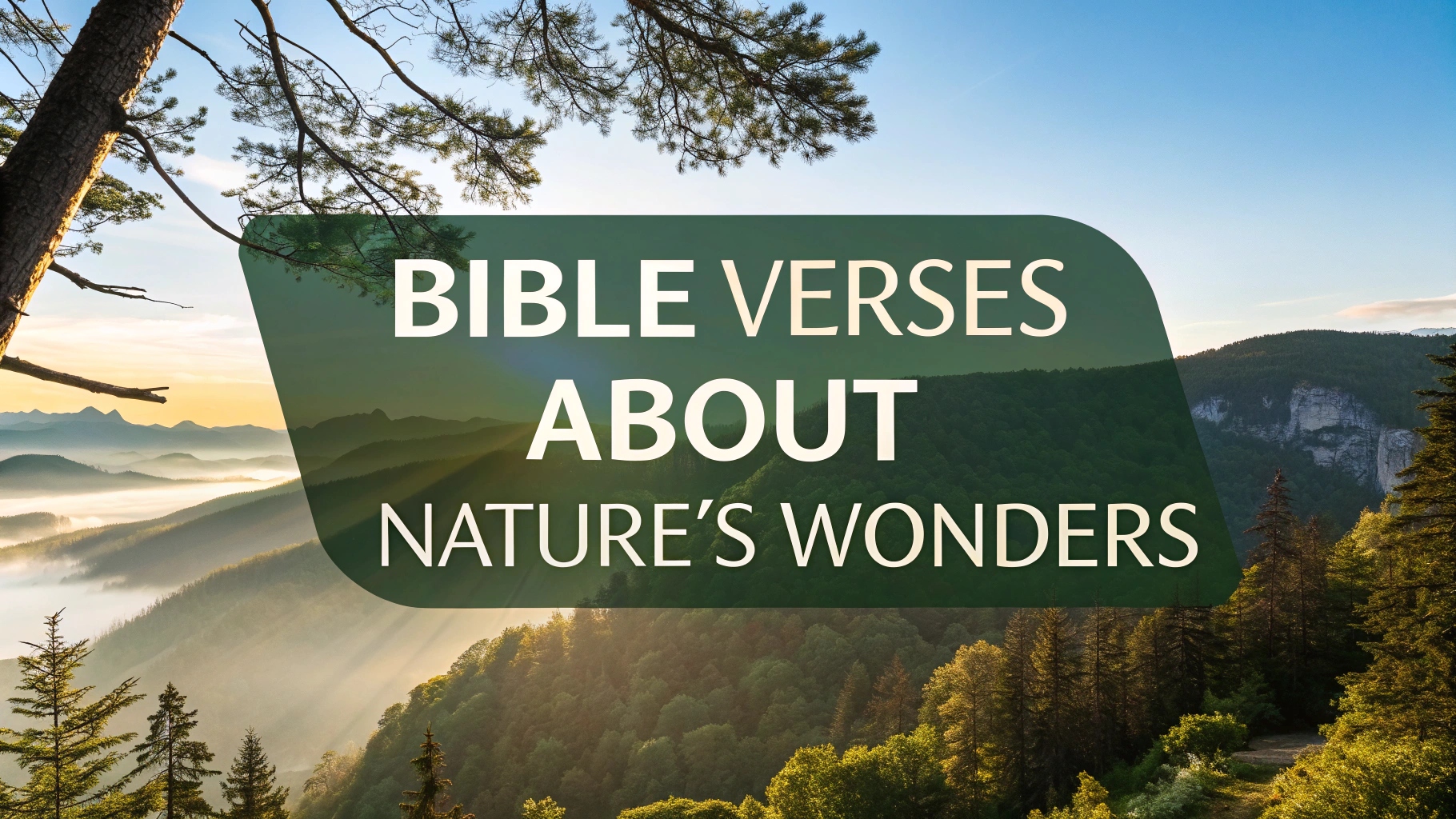 Bible Verses About Nature's Wonders