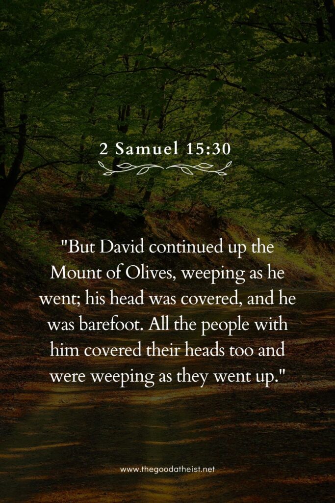 Bible verses from 2 Samuel