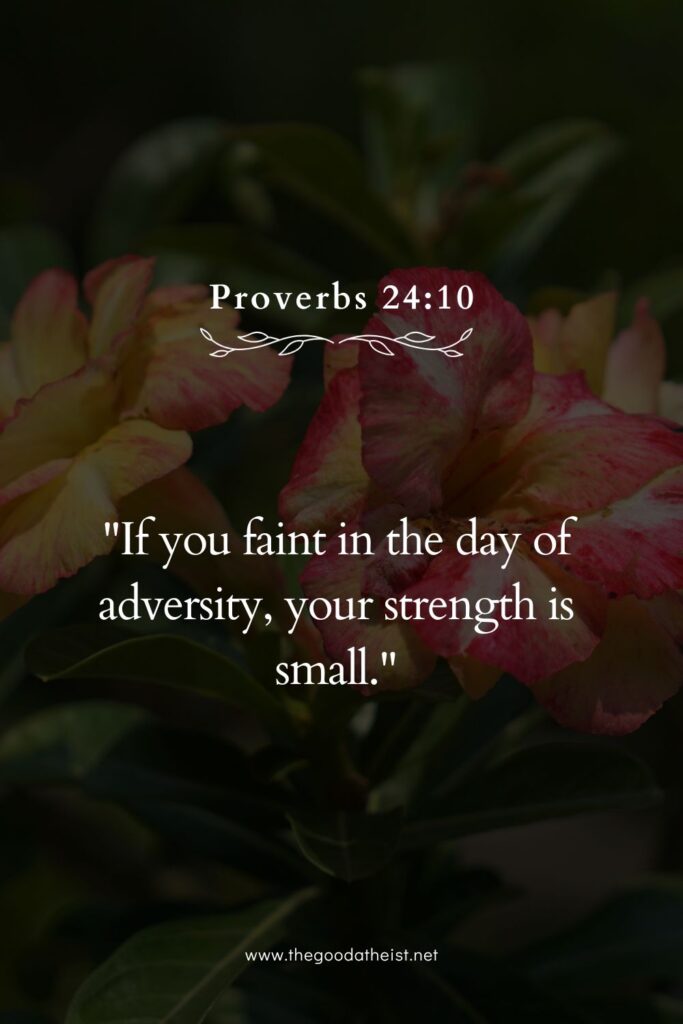 Bible Verses From Proverbs 24