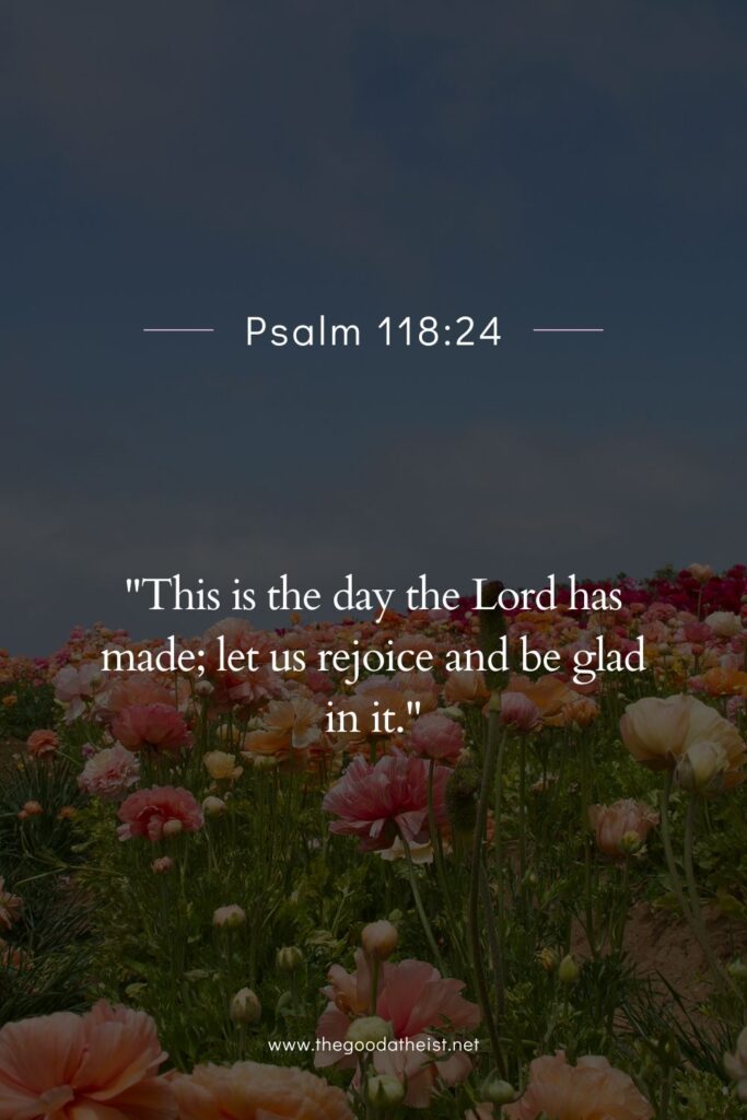 Bible Verses That Celebrate Everyday Blessings