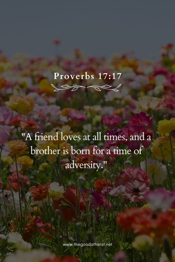 Bible Verses That Celebrate Everyday Blessings