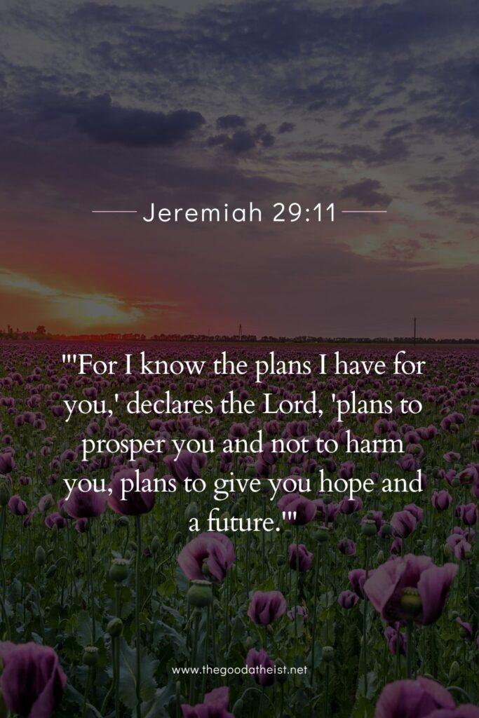 Bible Verses That Celebrate Everyday Blessings