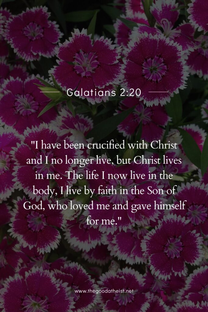 Bible Verses That Celebrate Your Uniqueness and Identity