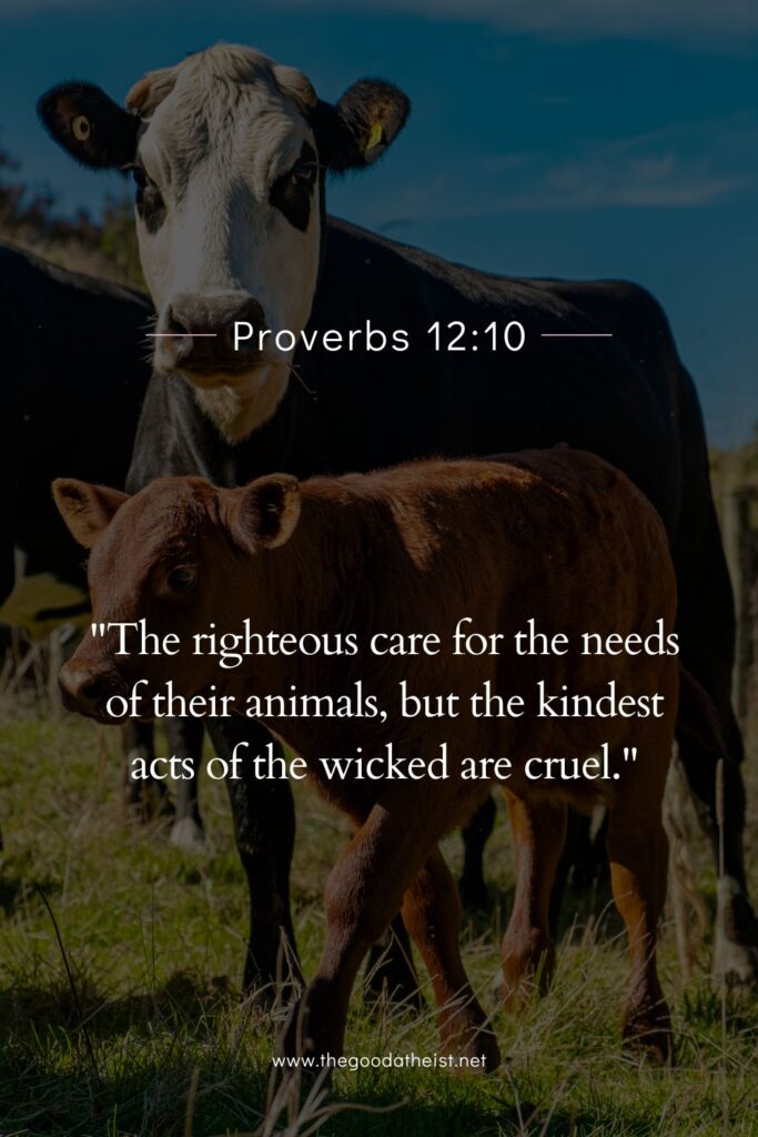 Bible Verses for Animal Lovers and Pet Companions