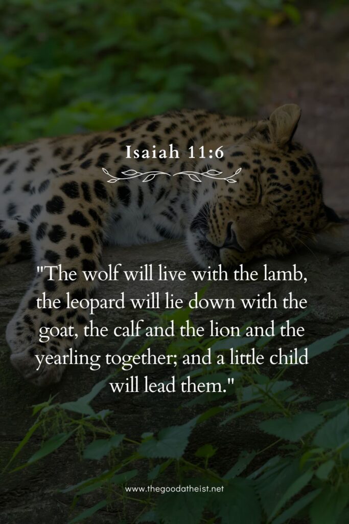 Bible Verses for Animal Lovers and Pet Companions