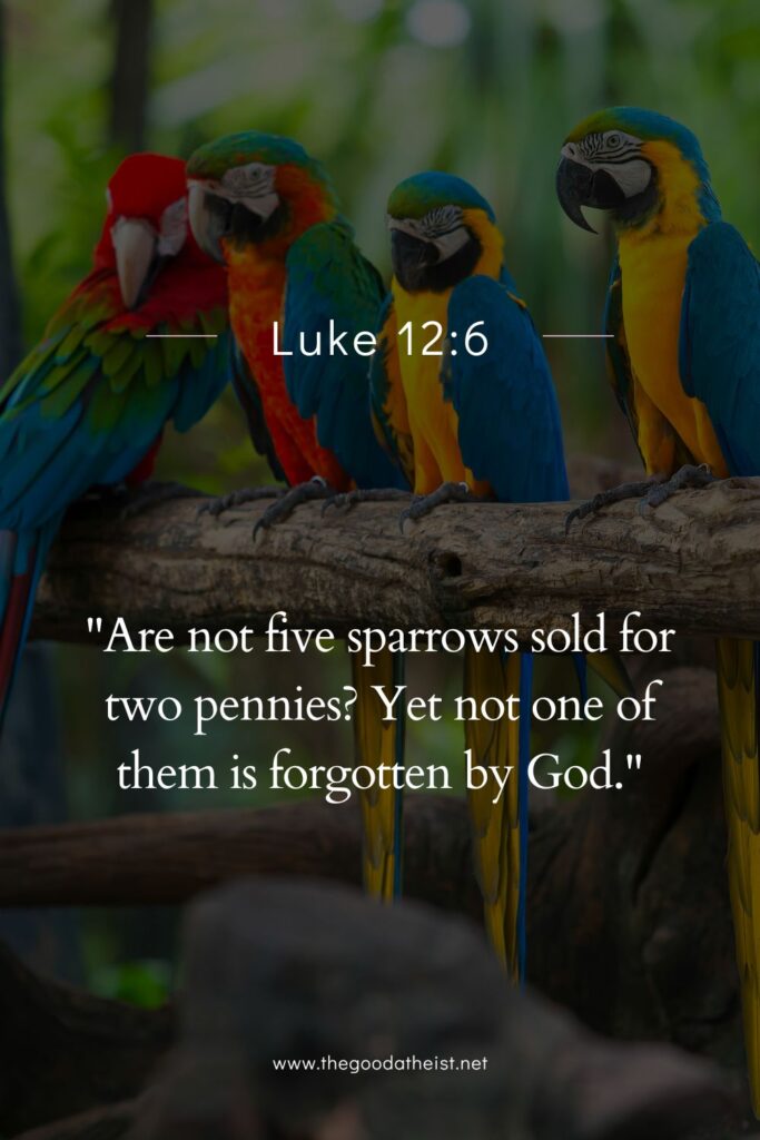 Bible Verses for Animal Lovers and Pet Companions