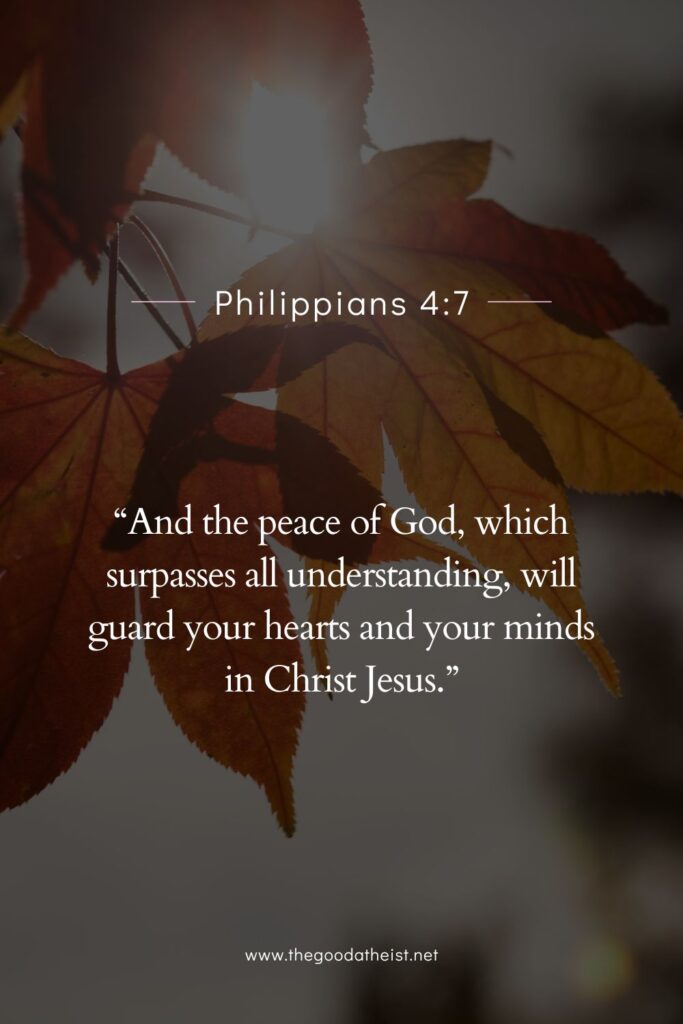 Bible Verses to Get Through the Summer Heat