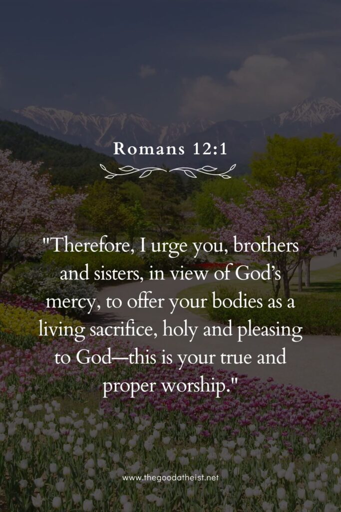 Bible Verses to Read Around the BBQ Table