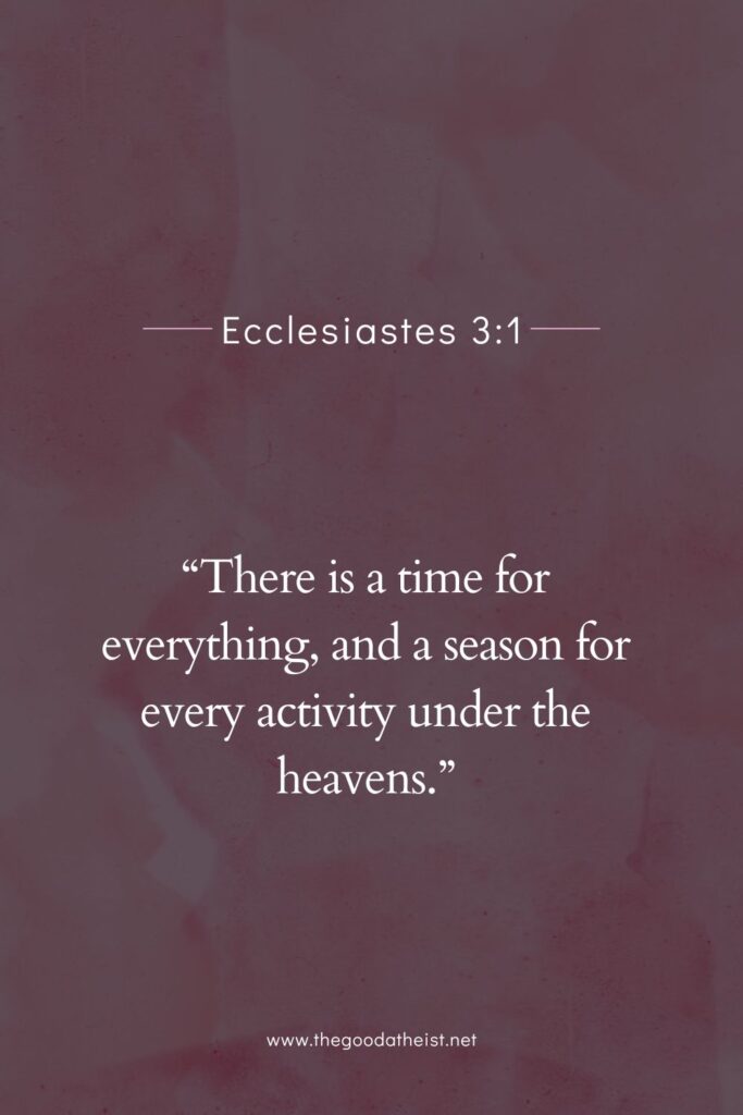 bible bios Instagram