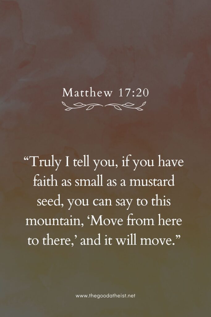 bible bios Instagram