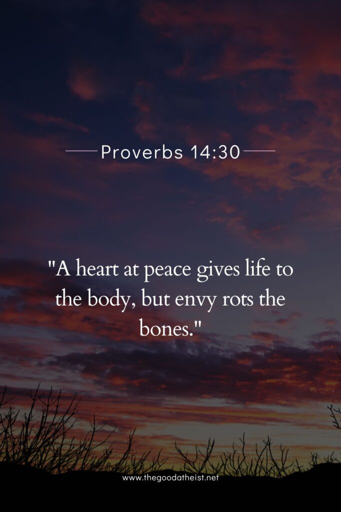 bible verse for health