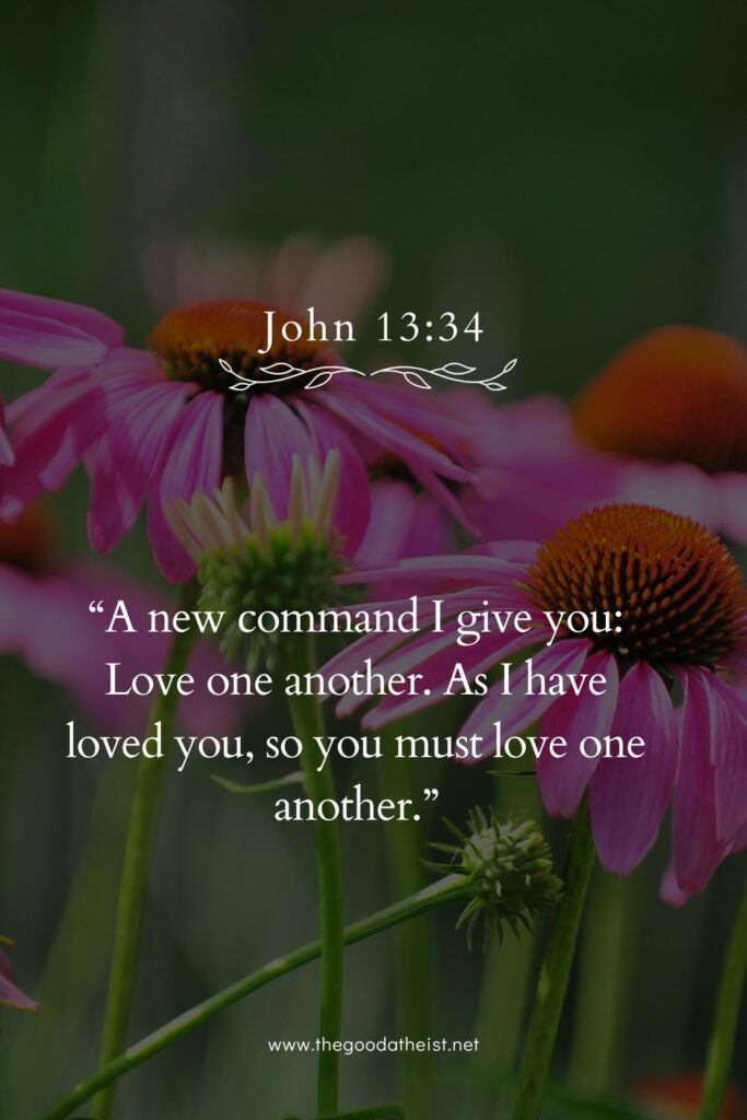 bible verse for june