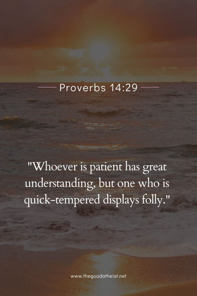 bible verse for understanding