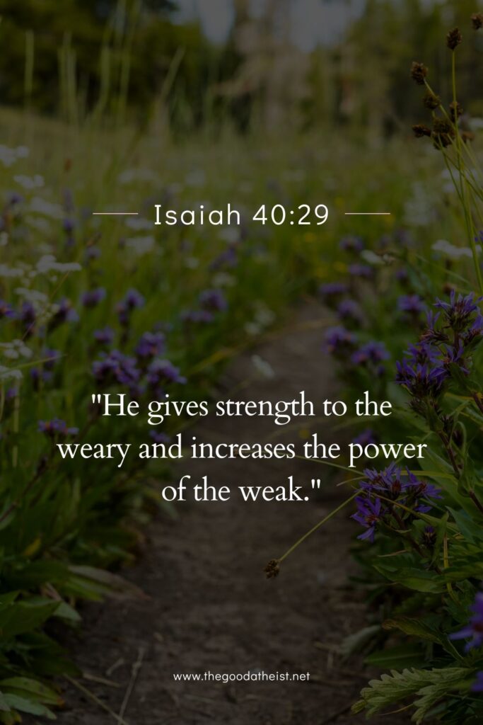bible verse of the day