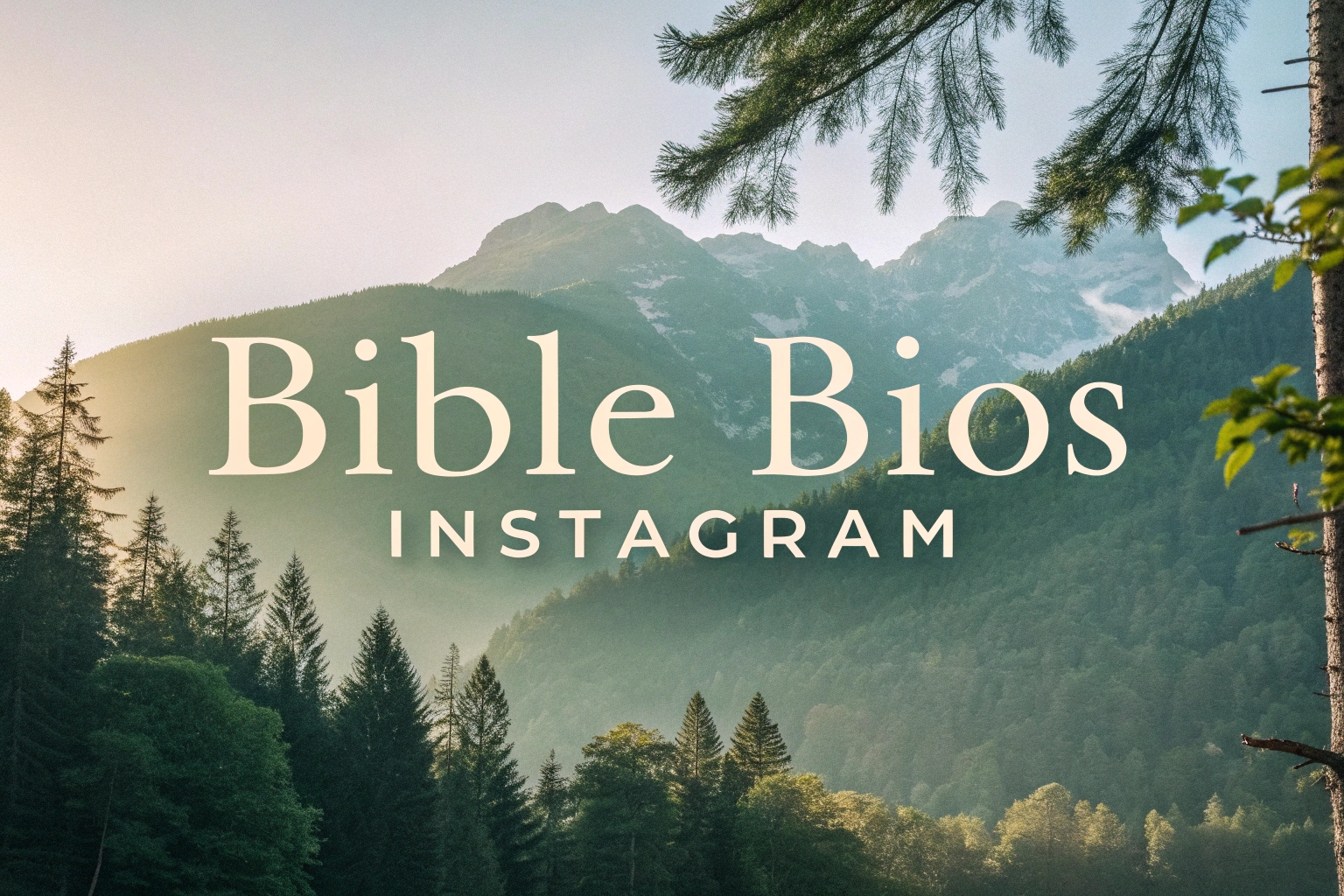 bible bios Instagram