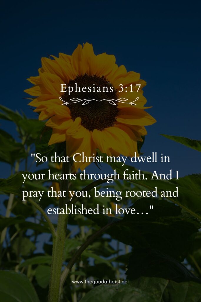 Beautiful Verses for National Sunflower Day