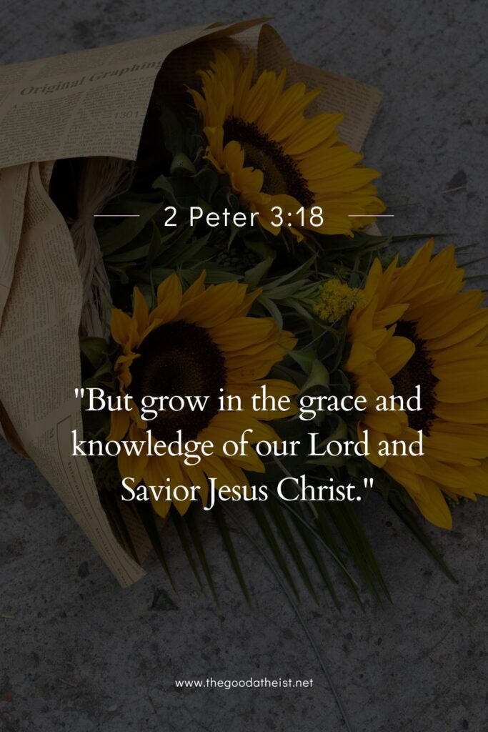 Beautiful Verses for National Sunflower Day