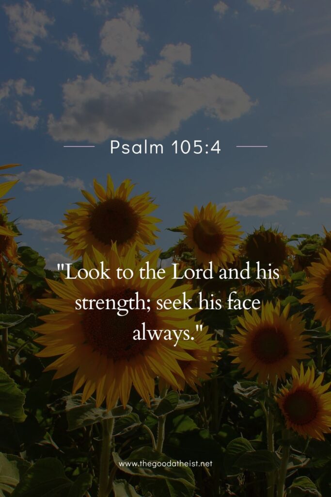 Beautiful Verses for National Sunflower Day