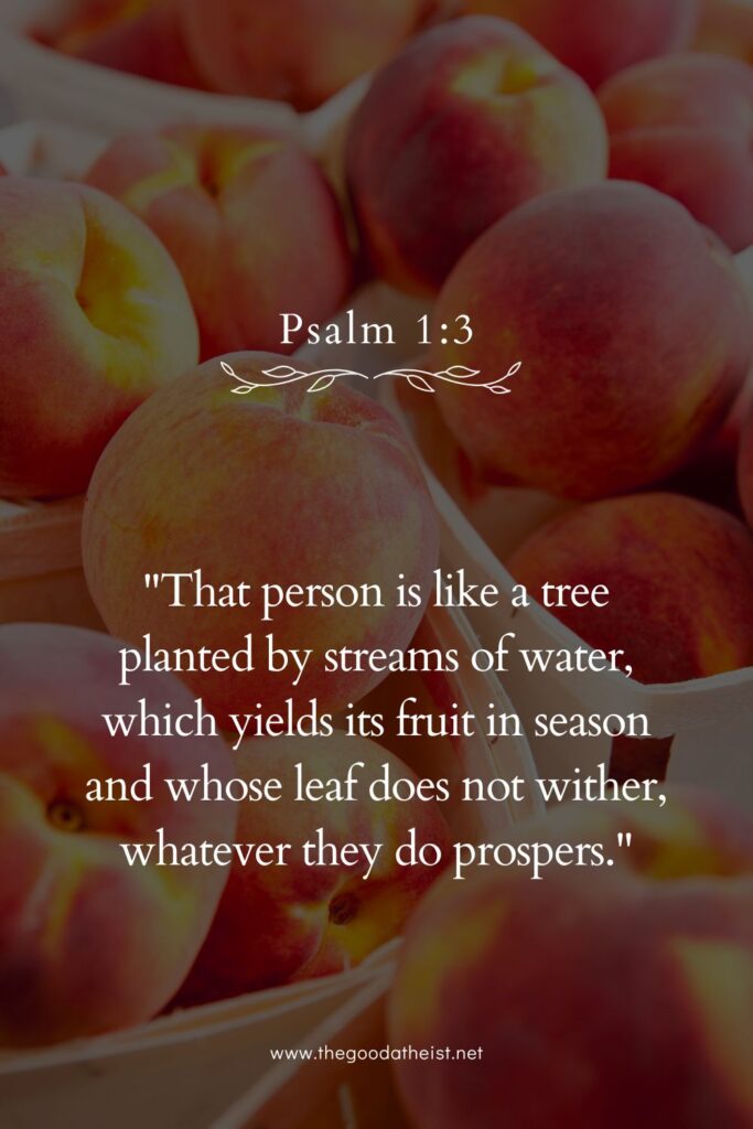 Elegant Verses for National Peach Day