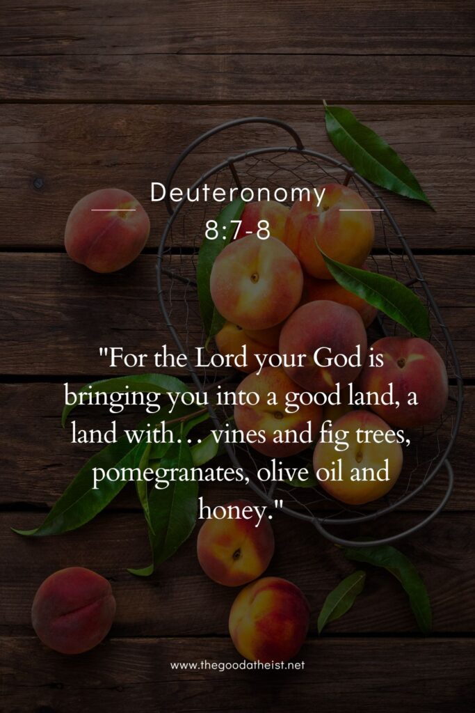 Elegant Verses for National Peach Day