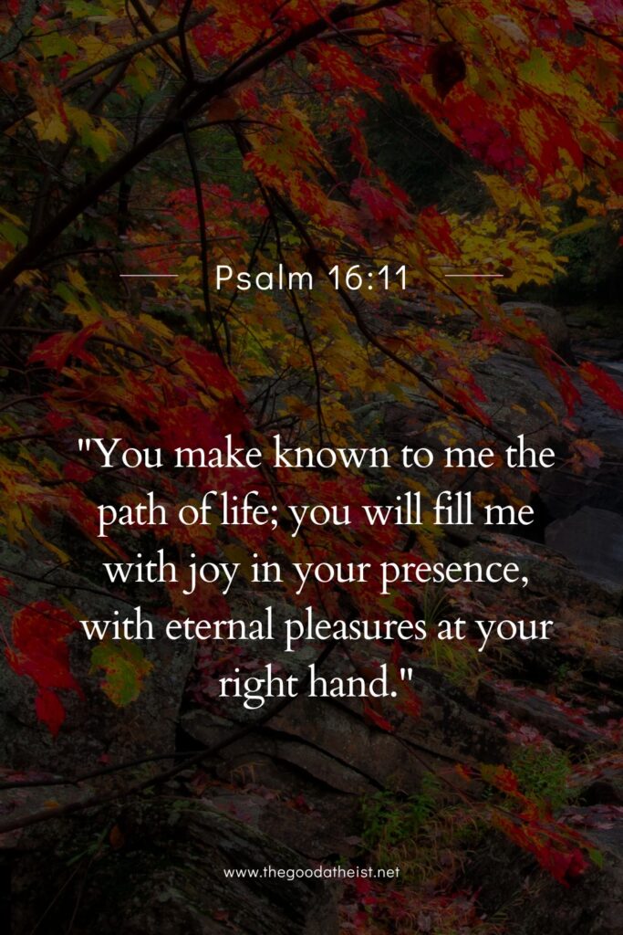 Inspiring Women's Verses for National Senior Citizens Day