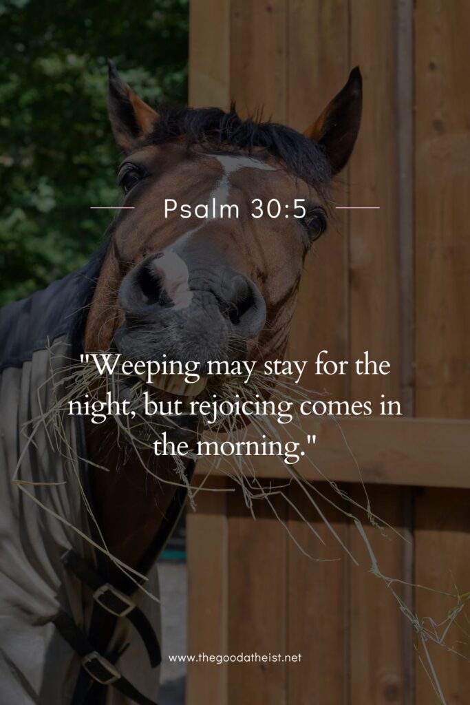 Quick Verses for National Tell A Joke Day