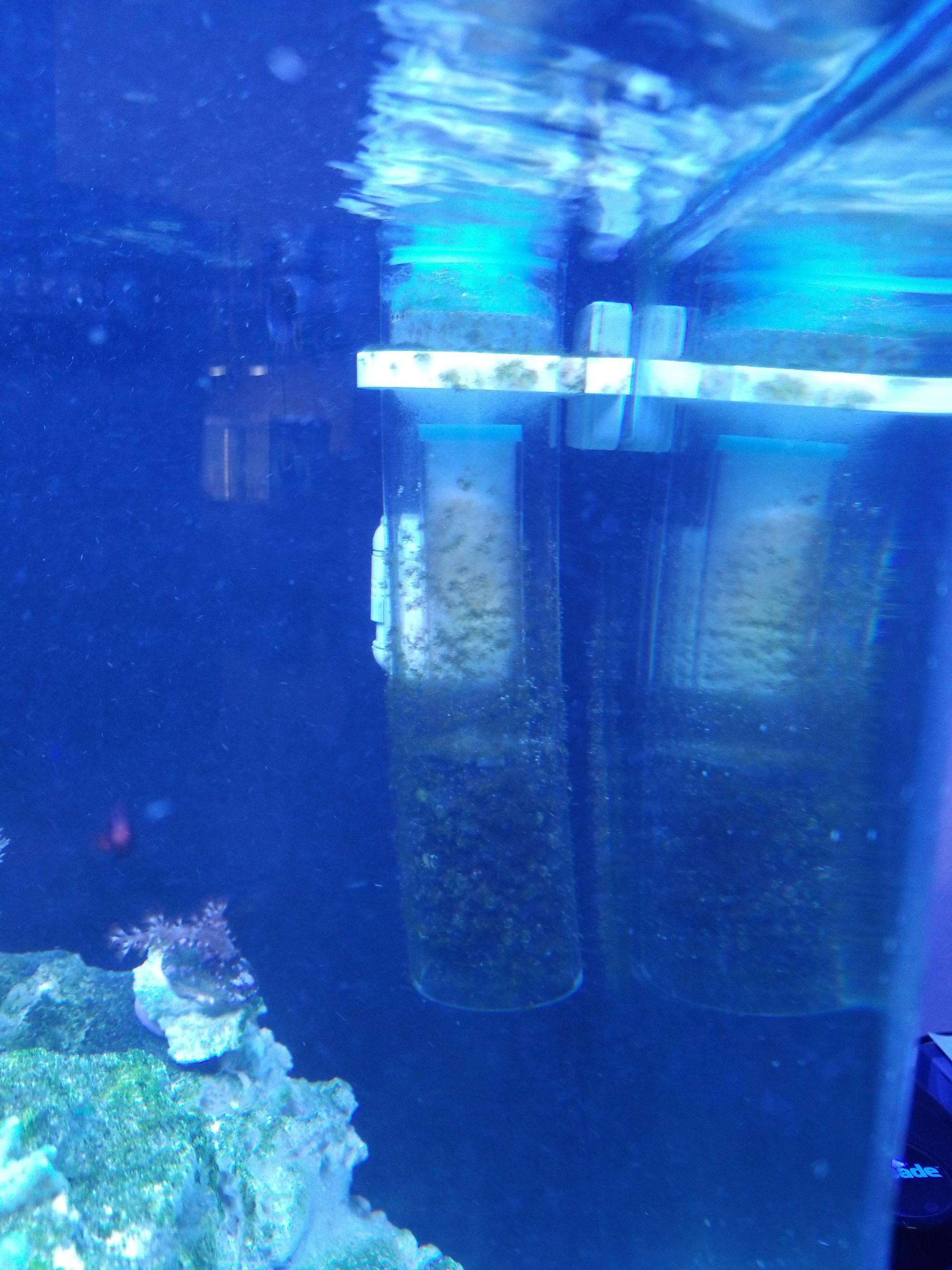 ESHOPPS Nano Skimmer | Protein Skimmer for Nano Tanks | New improved adjustable magnetic mount | Adjustable water height. Minimal foot print. Fits most All in one tanks back chamber customer photo 1