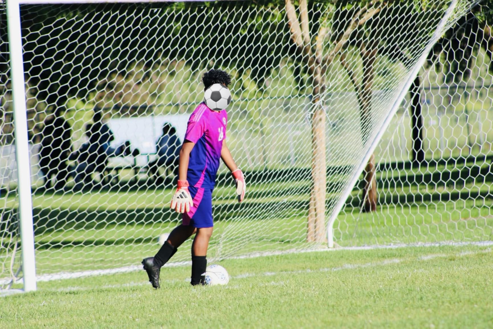 Canon EOS Rebel T7 DSLR Camera EF-S 18-55mm f/3.5-5.6 is II Lens Kit, 24.1 Megapixel CMOS (APS-C) Sensor, Full HD Videos, Built-in Wi-Fi, Beginner Photographers, Digital Camera, Black customer photo 1