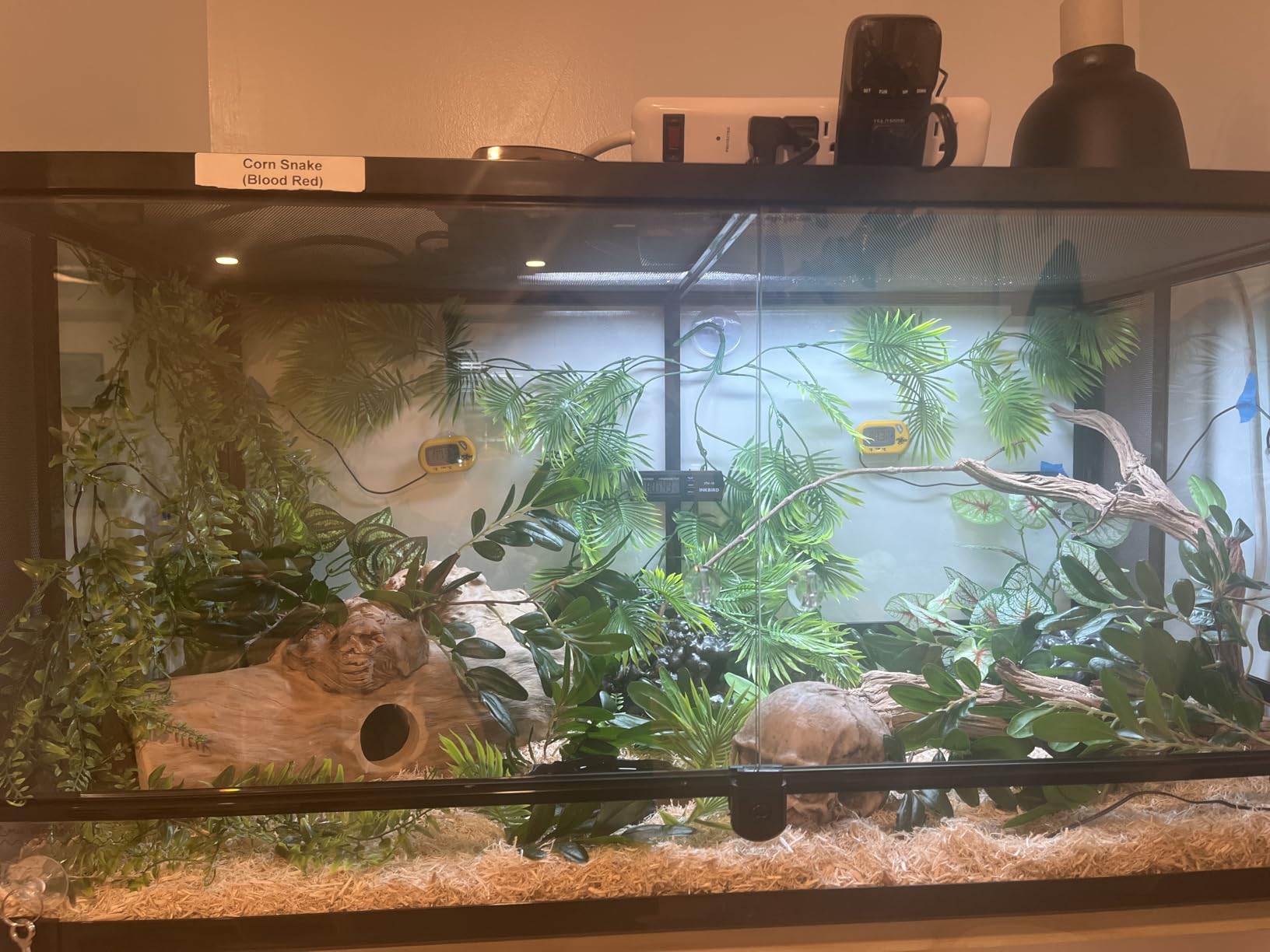 REPTI ZOO 50 Gallon Reptile Glass Terrarium Tank Double Hinge Door with Screen Ventilation Large Reptile Terrarium 36