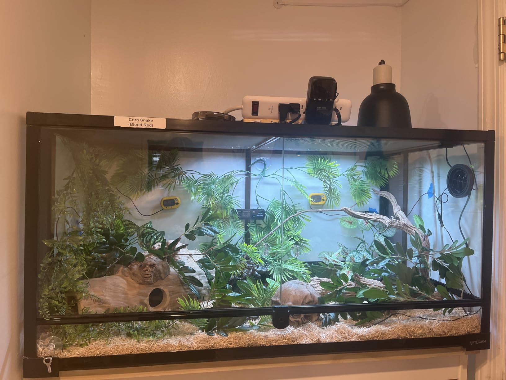 REPTI ZOO 50 Gallon Reptile Glass Terrarium Tank Double Hinge Door with Screen Ventilation Large Reptile Terrarium 36