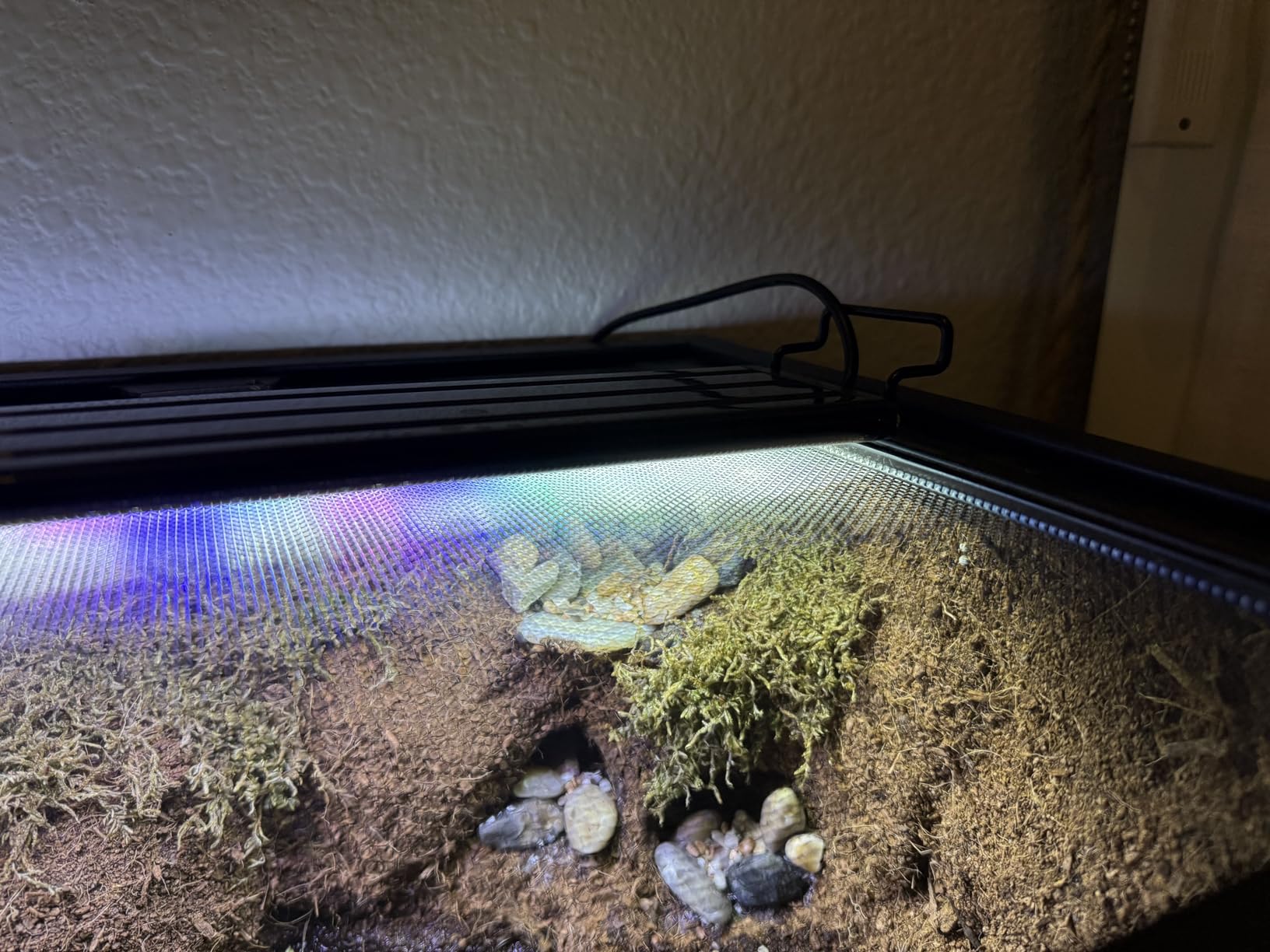 AQUANEAT LED Aquarium Light Full Spectrum for 18 Inch to 24 Inch Fish Tank Light Fresh Water customer photo 2