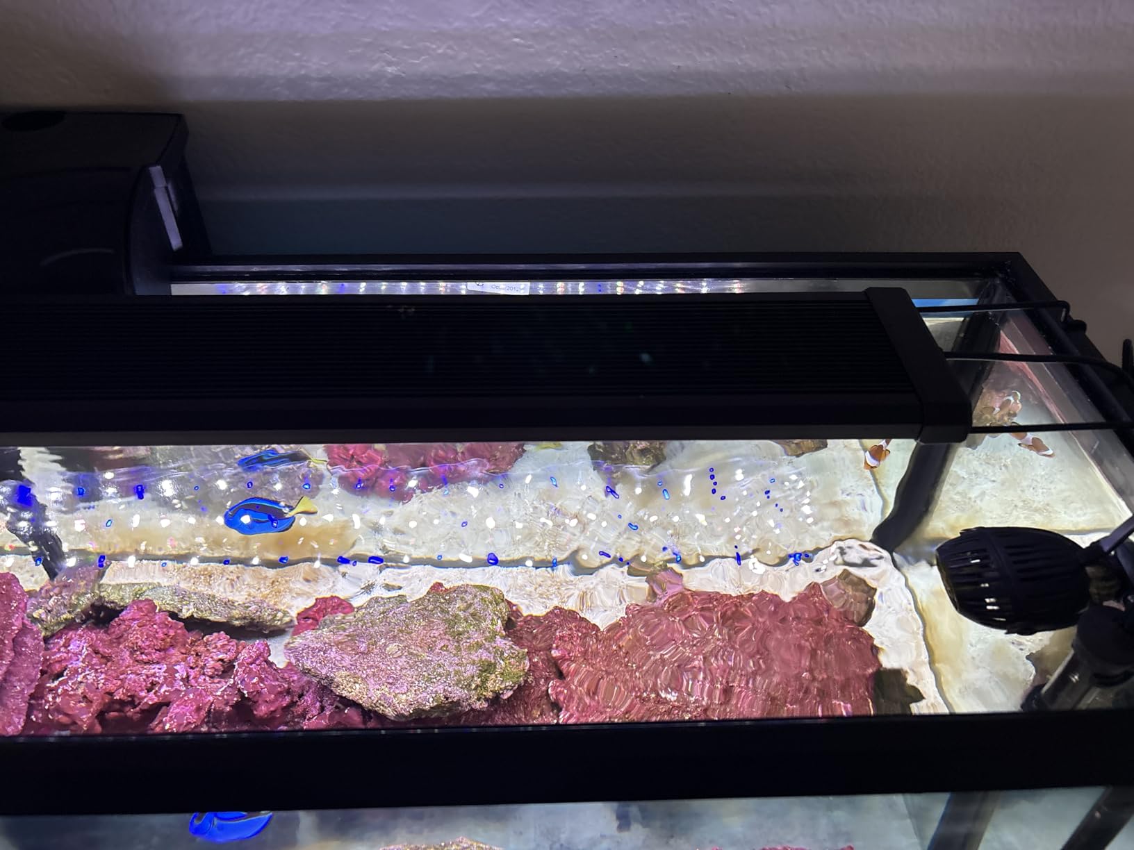 NICREW 20W Saltwater Aquarium Light, Marine LED Reef Light for Corals, Programmable Timer Controller, 18 to 24-Inch customer photo 1