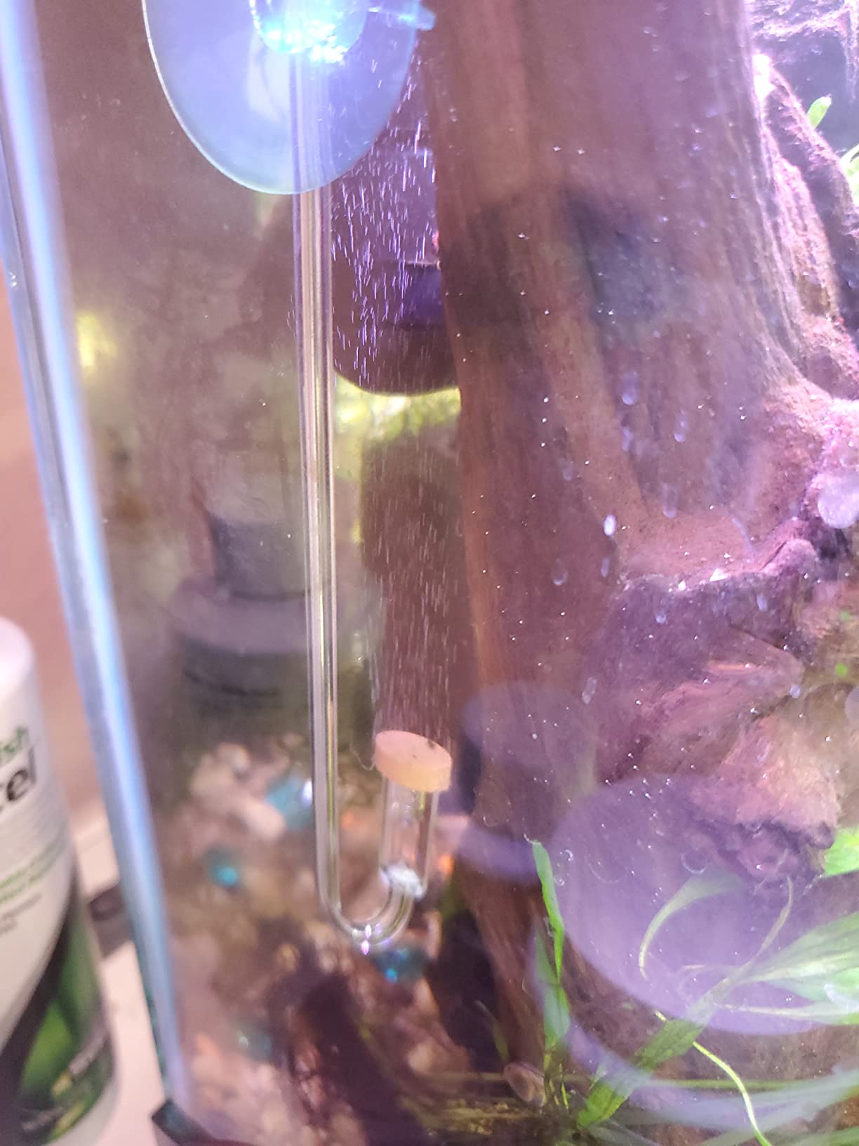 Aquario Neo CO2 - DIY CO2 Kit (Kit) for Freshwater Aquariums, Terrariums, Paludariums - Slow Release CO2 Kit for Aquatic Plants customer photo 1