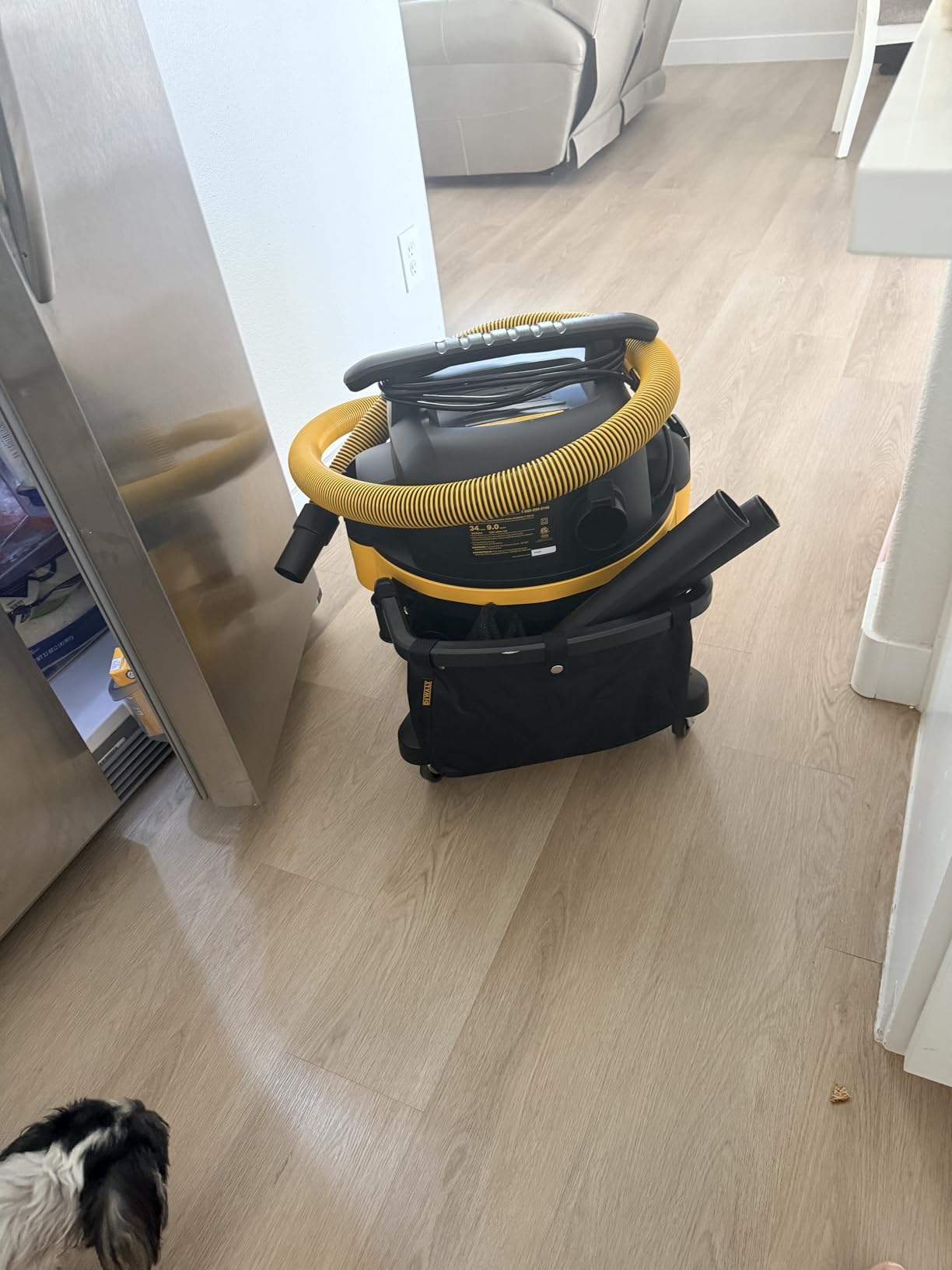 DEWALT 9 Gallon Wet/Dry VAC, Heavy-Duty Shop Vacuum with Attachments, 5 Peak HP, with Blower Function, DXV09PA customer photo 2