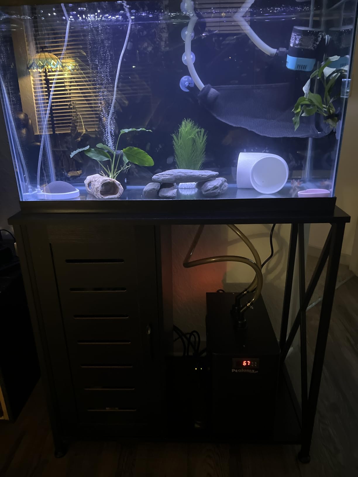 Poafamx 1/3 HP Aquarium Chiller, Quiet Titanium Fish Tank Water Chiller 40-80 Gal, Energy-Saving Aquarium Cooler for Saltwater Freshwater Axolotl Coral Reef Hydroponic customer photo 2