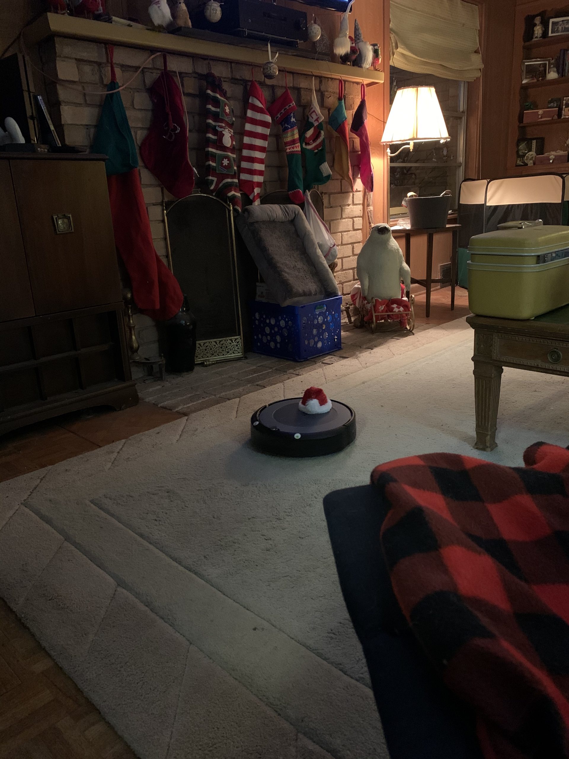 iRobot Roomba i3+ EVO (3550) Self-Emptying Robot Vacuum - Now Clean by Room with Smart Mapping, Empties Itself for Up to 60 Days, Works with Alexa, Ideal for Pet Hair, Carpets, Roomba i3+ customer photo 1