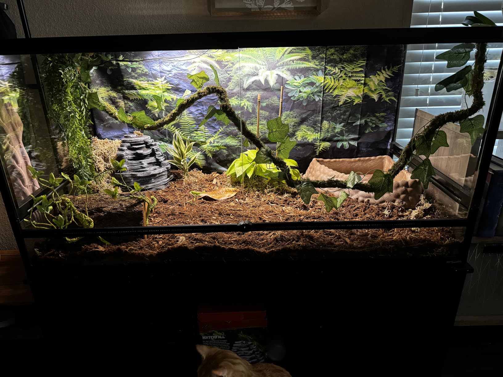 REPTI ZOO Collapsible 120 Gallon Reptile Tank, Tempered Glass Large Reptile Terrarium 48
