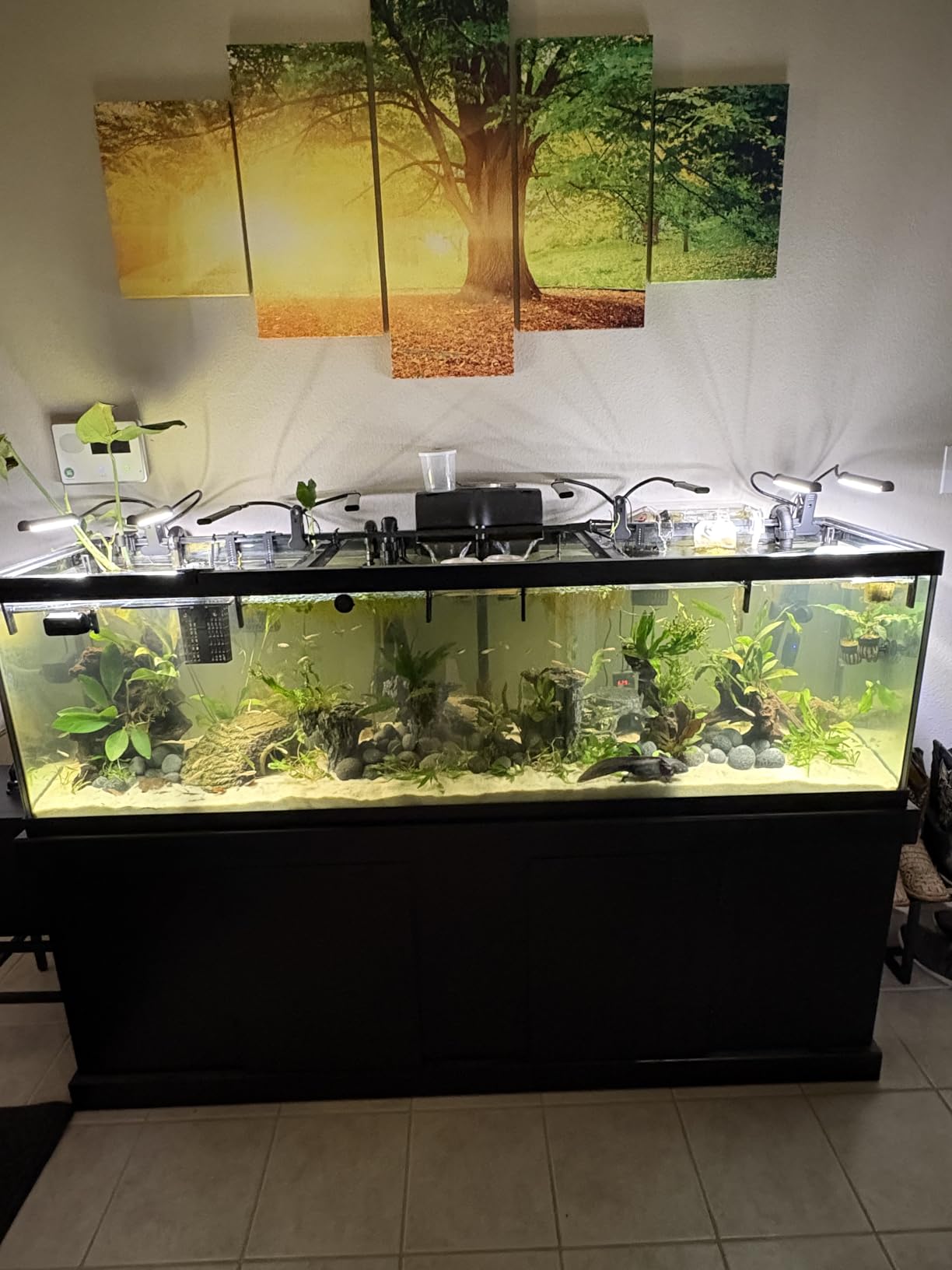 79 Gal Aquarium Chiller, 1/3 HP Fish Tank Water Chiller with Quiet Design Compressor, Refrigeration for Hydroponic System Axolotl Jellyfish Coral Reef 300L, Black customer photo 1