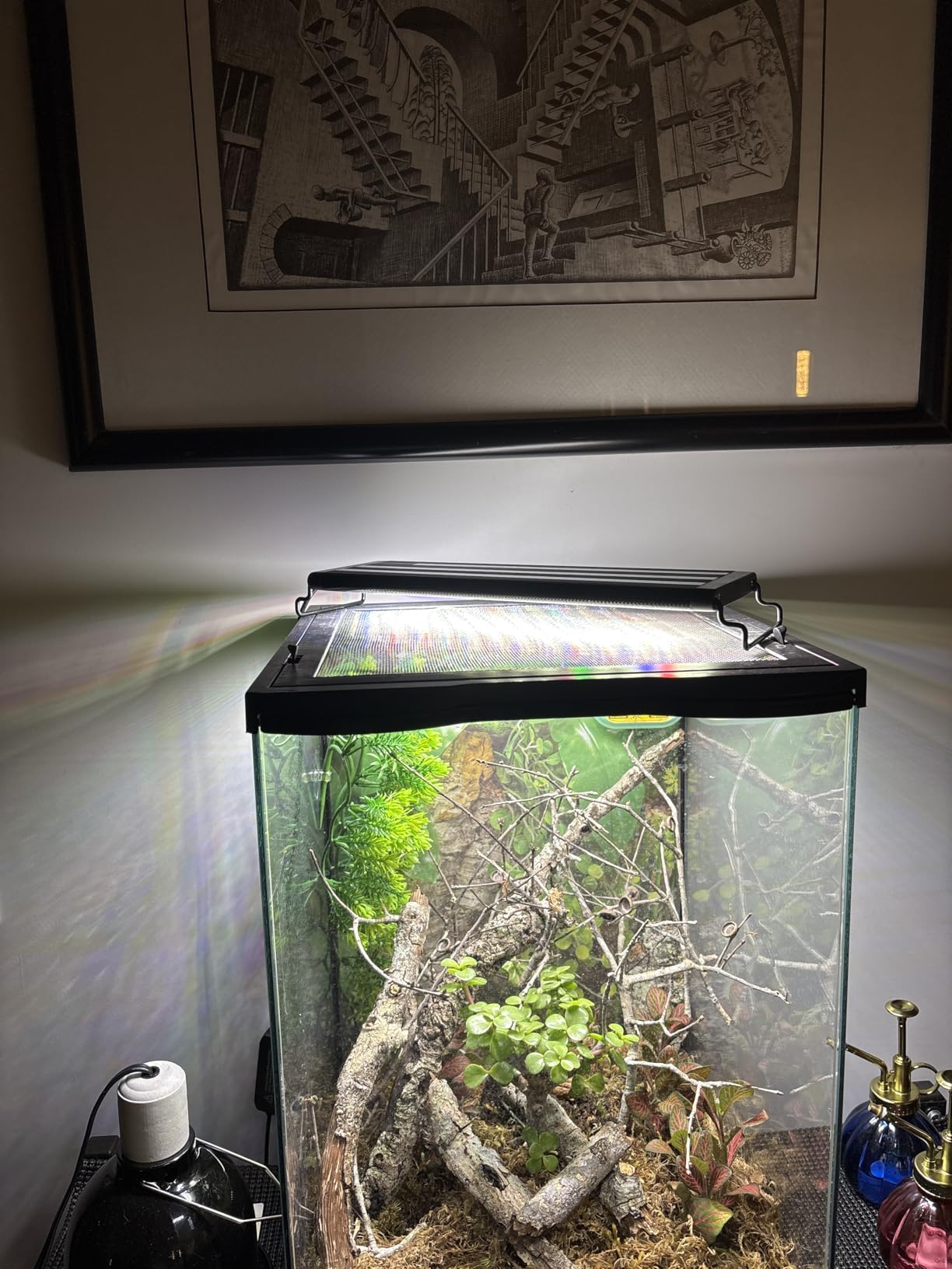 SEAOURA Led Aquarium Light for Plants-Full Spectrum Fish Tank Light with Timer Auto On/Off, 12-18 Inch, Adjustable Brightness, White Blue Red Green Pink LEDs with Extendable Brackets for Freshwater customer photo 1