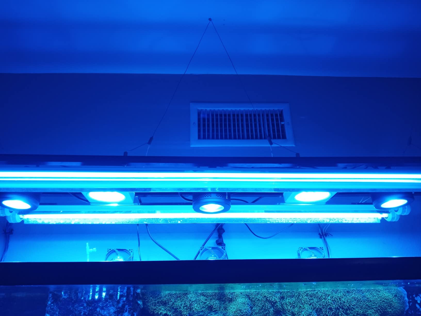 PopBloom RL90 WiFi Reef LED Light, 100W Reef Aquarium Lighting for SPS LPS Corals and Saltwater Fish Tanks, Enhanced Violet and Blue Spectrum, APP Fully Programmable (1 Light with Hang kit) customer photo 1