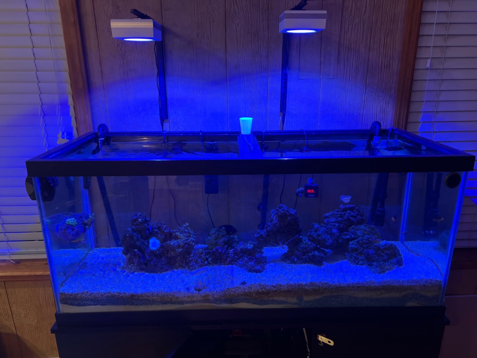 PopBloom RL90 WiFi Reef LED Light, 100W Reef Aquarium Lighting for SPS LPS Corals and Saltwater Fish Tanks, Enhanced Violet and Blue Spectrum, APP Fully Programmable (1 Light with Hang kit) customer photo 2