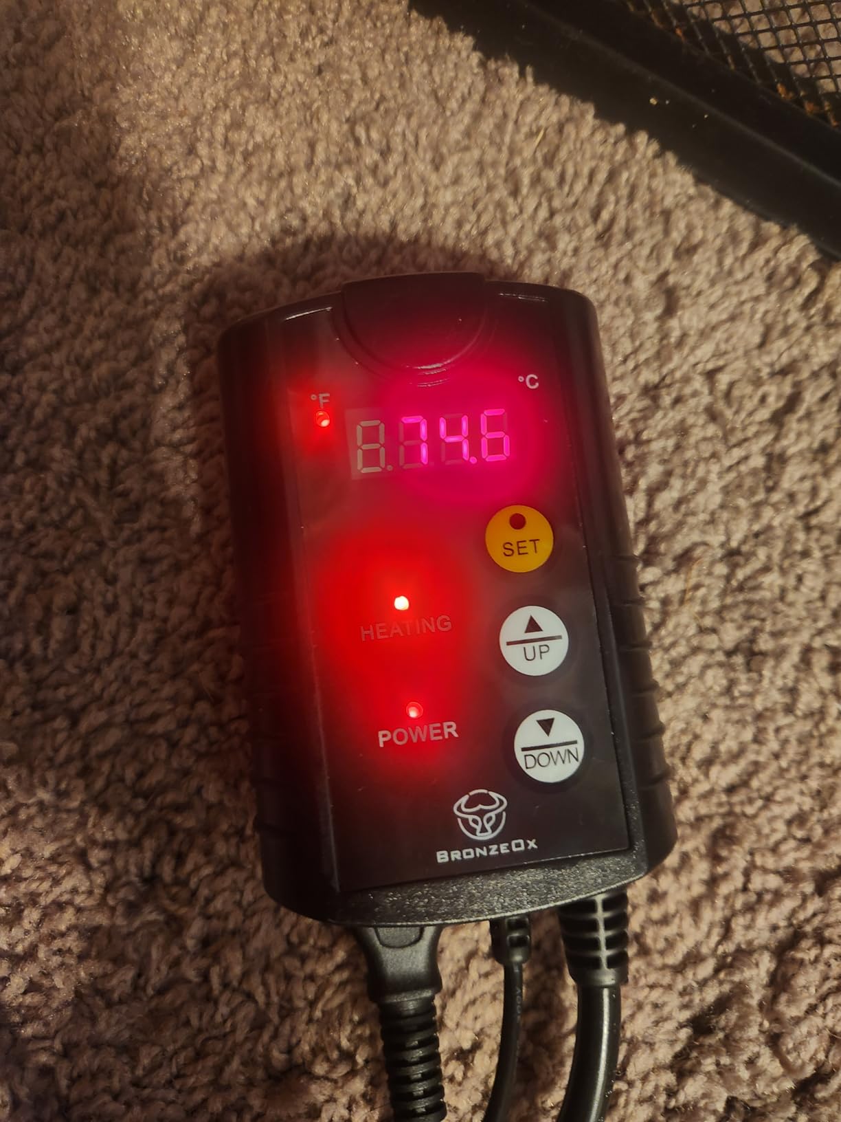 Digital Seedling Thermostat Temperature Controller for Heat Mats, 1000W ETL Listed - Precise Temperature Control for Seed Germination, Reptiles & Brewing (Heat Mat Not Included) customer photo 2